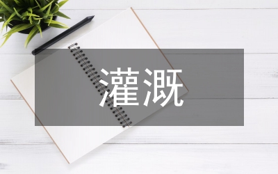 新建灌溉發(fā)電隧洞設(shè)計(jì)分析