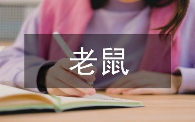 滅老鼠防治服務(wù)