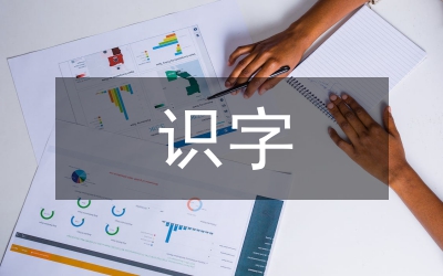 高效識(shí)字論文