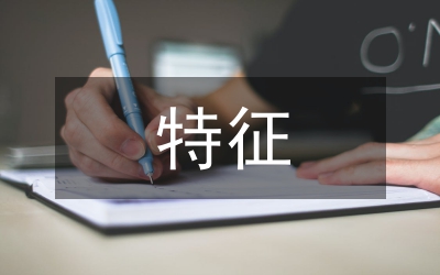 簡述創(chuàng)造性思維的特征