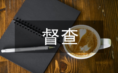 督查政府政務制度