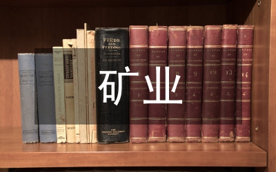 稀土礦業(yè)秩序整治和監(jiān)管方案