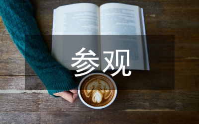 參觀濱海新區(qū)感想的報(bào)告