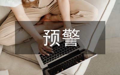 上市公司財務(wù)危機預(yù)警研究