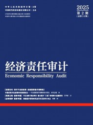 經(jīng)濟責(zé)任審計